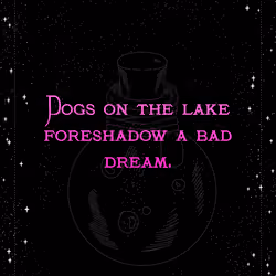 Prediction #149