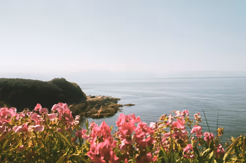 Shore Line