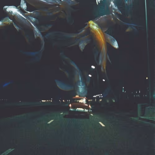 Wndrlst35mm