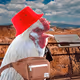 Chicken NFT V2