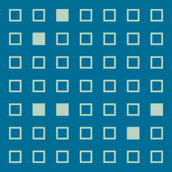 Bingo! #293