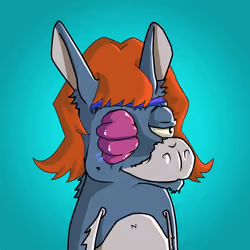 WonkeyDonkey #2080