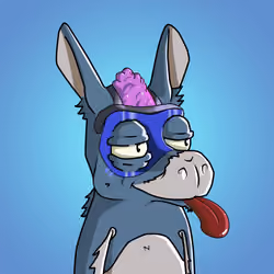 WonkeyDonkey #77