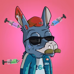 WonkeyDonkey #2024