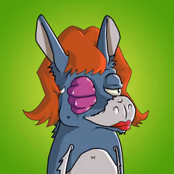 WonkeyDonkey #255