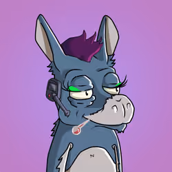 WonkeyDonkey #969