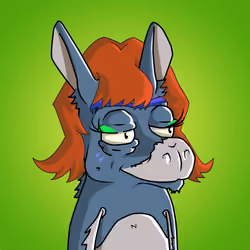WonkeyDonkey #1577