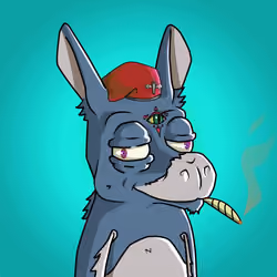 WonkeyDonkey #790
