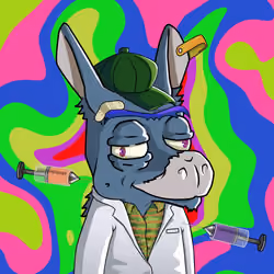 WonkeyDonkey #2026