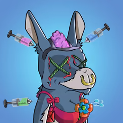 WonkeyDonkey #547