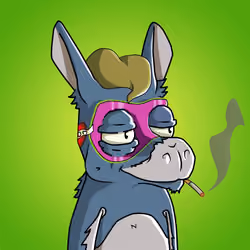 WonkeyDonkey #1993