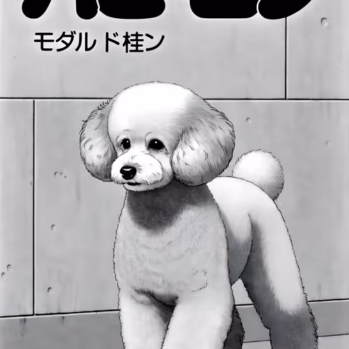 No Context By Jav