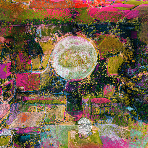 Somnium by Katie Morris