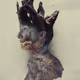 I am Gruut