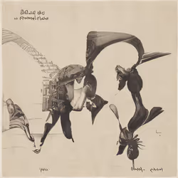 Pelicans Dans Le Bonne And Saint Denis