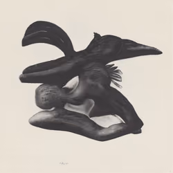 Black, Birds And Sailors