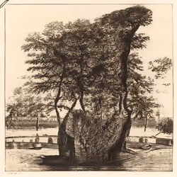 Landscape With Large Boulder And Trees