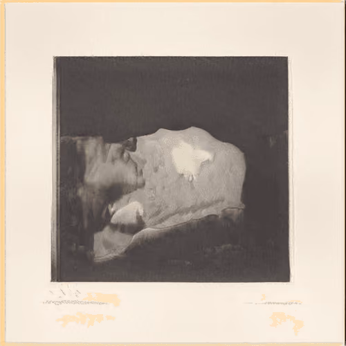 Sleeping Woman