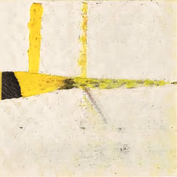 Yellow And Black Dragonfly