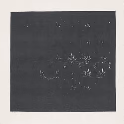 Study From The 'Astrals'