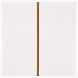 Bamboo Frame