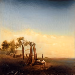 A Tree On A Prairie