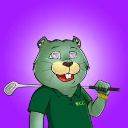 Meta Country Club #11