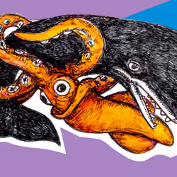 Squid and Whale #42