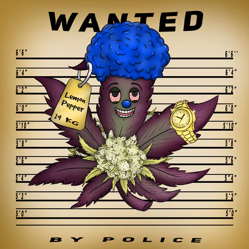 Highsmugglersclub