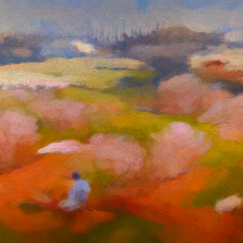 Development of A Sakura Field by Karan4d