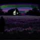 Trips to the FARMS