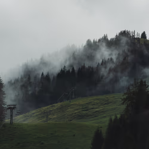 Autumn #1