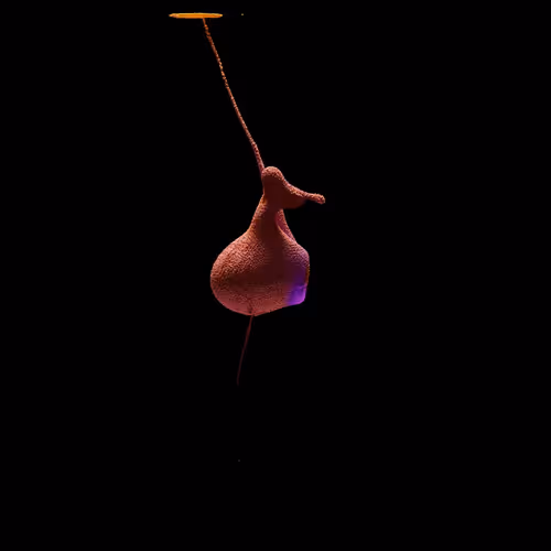 Item #7500050010 Media