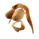 53