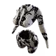 51