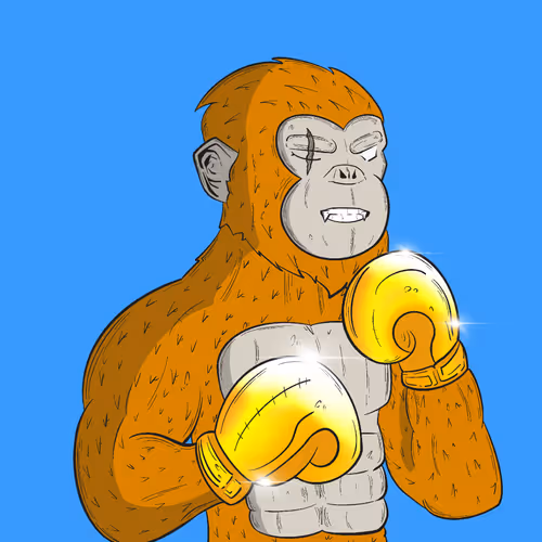 Fighterfun