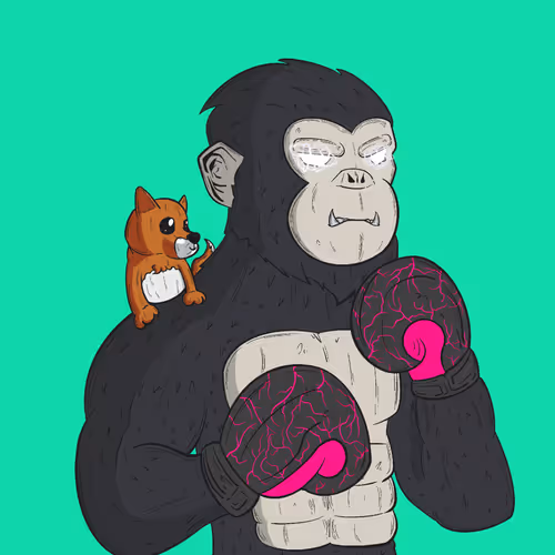Item #982 Media