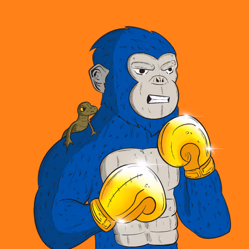 Item #163 Media