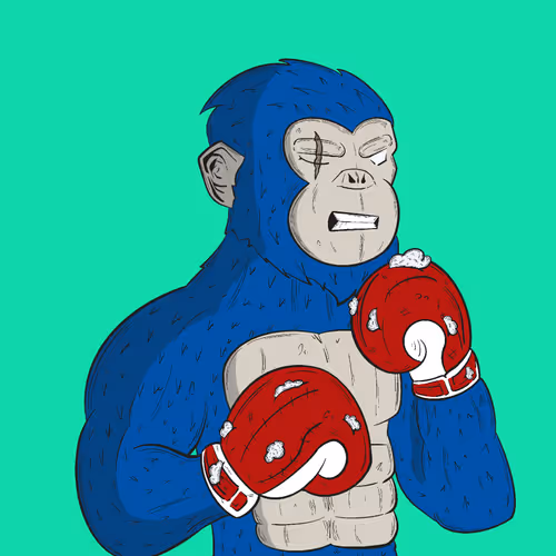 Fighterfun