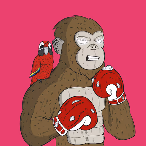 Fighterfun