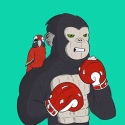 Fighter #269