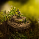 3675