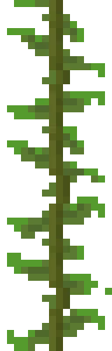 Kelp Plant