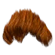 20096