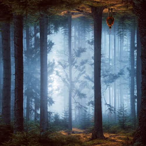 Roots By Diogo Sampaio