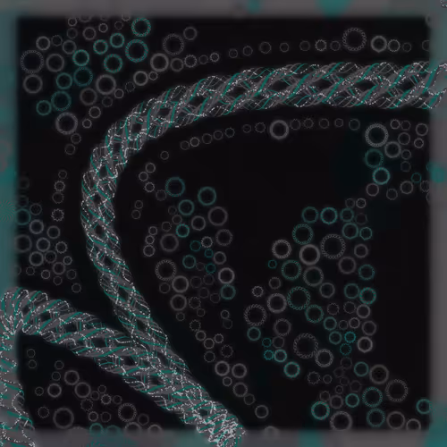 Friendship Bracelets By Alexis Andre