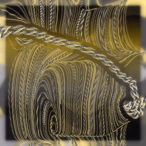 Friendship Bracelets By Alexis Andre
