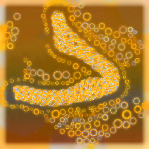 Friendship Bracelets By Alexis Andre
