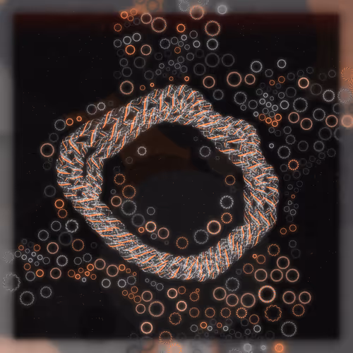 Friendship Bracelets By Alexis Andre