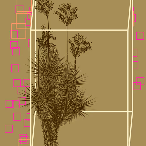 Marfa Yucca By Daniel Calderon Arenas